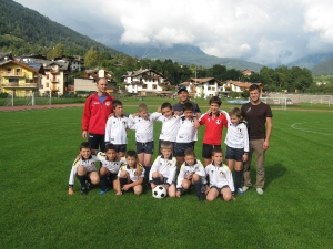 pulcini-a-2.jpg