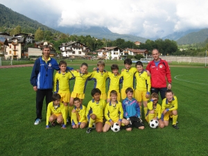 pulcini-b.jpg