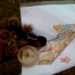 IMG_0479 IMG_0479