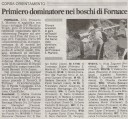 articolo