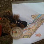 IMG_0479 IMG_0479