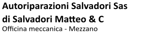 Auto Salvadori